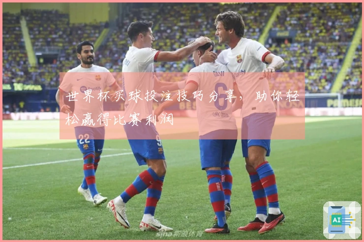 世界杯买球投注技巧分享，助你轻松赢得比赛利润