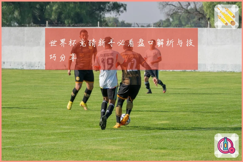 世界杯竞猜新手必看盘口解析与技巧分享