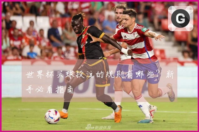 世界杯买球投注的规则有哪些？新手必看指南