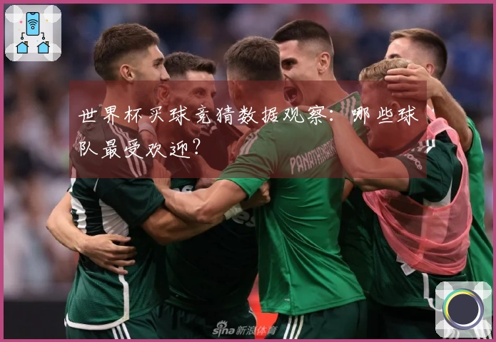 世界杯买球竞猜数据观察：哪些球队最受欢迎？