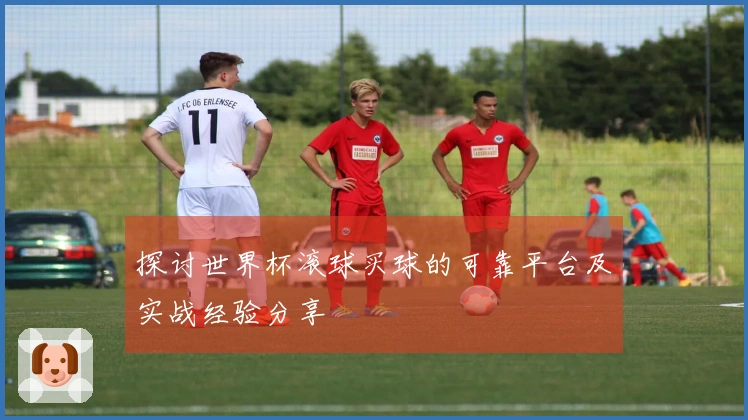 探讨世界杯滚球买球的可靠平台及实战经验分享