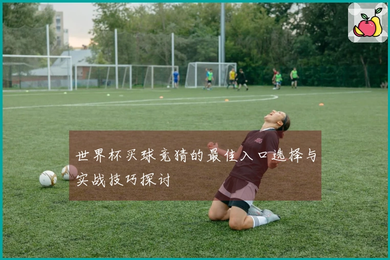 世界杯买球竞猜的最佳入口选择与实战技巧探讨