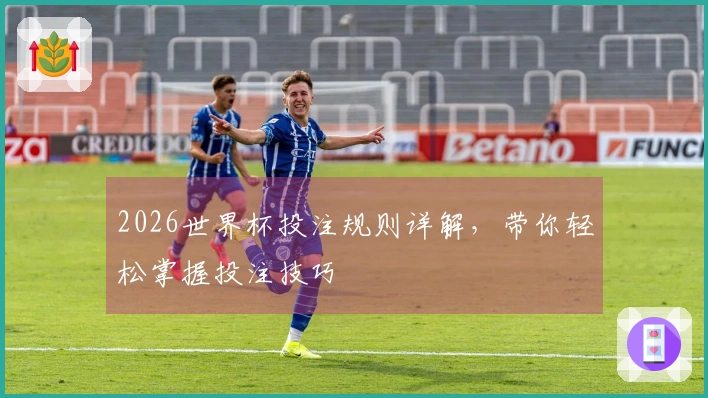 2026世界杯投注规则详解，带你轻松掌握投注技巧
