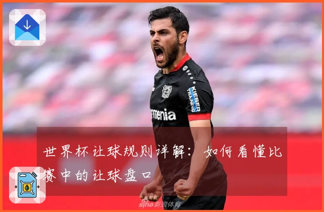 世界杯让球规则详解：如何看懂比赛中的让球盘口