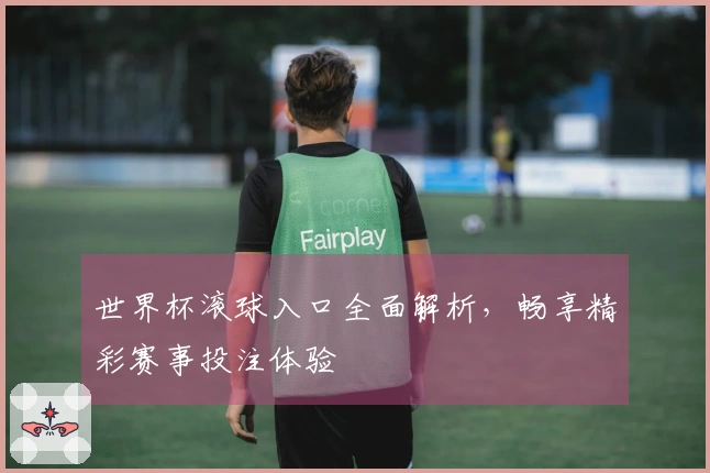 世界杯滚球入口全面解析，畅享精彩赛事投注体验