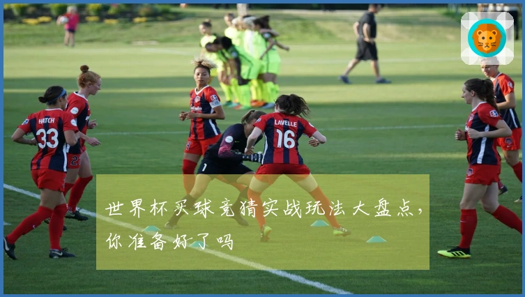 世界杯买球竞猜实战玩法大盘点，你准备好了吗