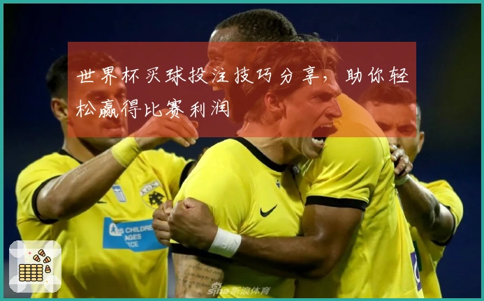 世界杯买球投注技巧分享，助你轻松赢得比赛利润