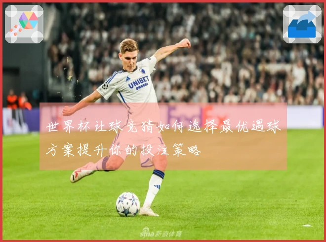 世界杯让球竞猜如何选择最优遇球方案提升你的投注策略