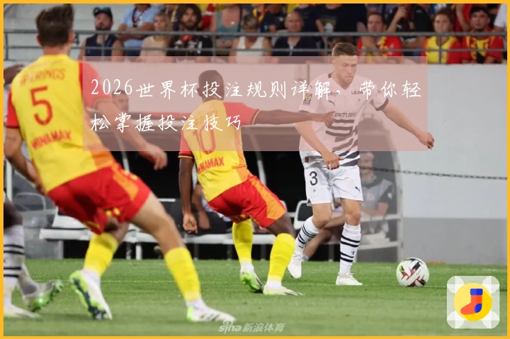 2026世界杯投注规则详解，带你轻松掌握投注技巧