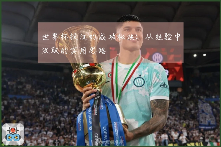 世界杯投注的成功秘诀：从经验中汲取的实用思路