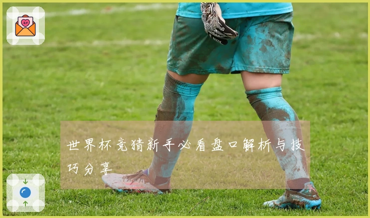 世界杯竞猜新手必看盘口解析与技巧分享