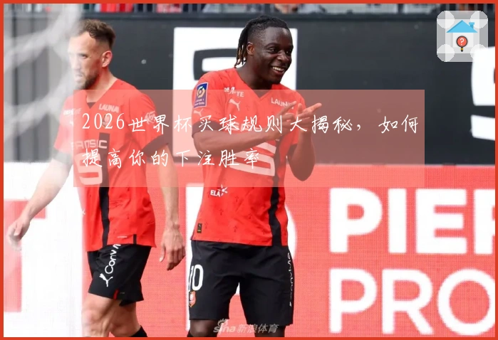2026世界杯买球规则大揭秘，如何提高你的下注胜率